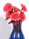flower vase with pink daisy flowers