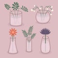 Flower in vase set. Different flowers, plant leaves. Glass vases with water. Lily of valley, daisy chamomile, gerbera, aster, icon Royalty Free Stock Photo