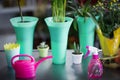 Flower vase, watering can, pot plant and spray bottle on table Royalty Free Stock Photo