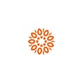 Flower vector linear logo. Orange line art sun icon. Outline garden abstract symbol.