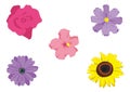 Flower Vector Pack