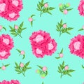 Flower vector peony seamless pattern on turquoise background