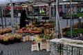 Flower vendor in danish capital Copenhagen Denmark