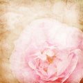 Flower vintage paper bacground Royalty Free Stock Photo