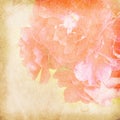 Flower vintage paper bacground Royalty Free Stock Photo