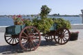 Flower Wagon - San Diego Royalty Free Stock Photo