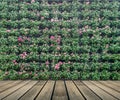 Flower wall vertical garden Royalty Free Stock Photo