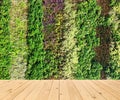 Flower wall vertical garden Royalty Free Stock Photo