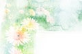 Flower watercolor illustration.