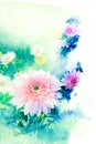 Flower watercolor illustration.