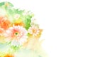 Flower watercolor illustration.