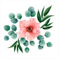 Flower watercolor, vector illustration. Botanical design. Pink a Royalty Free Stock Photo