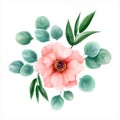 Flower watercolor, vector illustration. Botanical design. Pink a Royalty Free Stock Photo