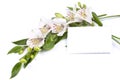 Flower white Alstroemeria and card for your text