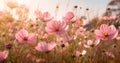 flower white beautiful pink blooming nature field violet meadow sunset background. Generative AI. Royalty Free Stock Photo