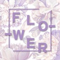 Trendy poster with blooming white peonies. Spring background in pastel purple tones. Floral spring graphic design.