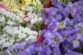 Flower in white and purple, close-up photography