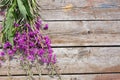 Flower Willowherb Sally bloom on wooden background. Top view. Copy space.