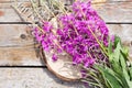 Flower Willowherb Sally bloom on wooden background. Top view.