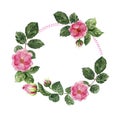 Flower wreath with roses