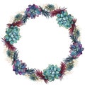 Flower wreath of succulents festive frame. Vector