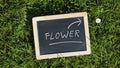 Flower written Royalty Free Stock Photo