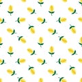 Flower yellow tulips pattern seamless on white background vector Royalty Free Stock Photo