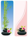 Flower and zen stones banner Royalty Free Stock Photo