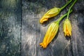 Flower zucchini on old wooden board