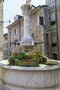 Flowerbed around fountain in Geneva, Switzerland Royalty Free Stock Photo