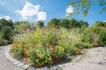 flowerbed with autumnal flowers, Westpark munich