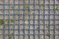 Flowerbed with blue checkered partitions with dry and green grass in gray ground. top view . rough surface texture