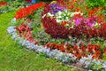 Flowerbed with bright flowers in the summer