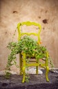 Flowerbed in a chair as home decoration in rustic style