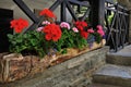 Flowerbed with color geranium on alpine house facade