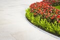 Flowerbed with curvilinear shapes with clear stone floor Royalty Free Stock Photo