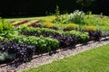 Flowerbed, decorative plants, grass