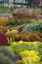 Flowerbed with different herbs in autumn