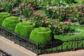 Flowerbed fenced with a black iron fence with a footpath.