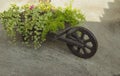 Flowerbed in the form of a cart with different beautiful flowers. Unusual landscape design in a rustic style