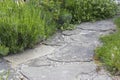 Flowerbed in the garden - roses, lavender flowers and stone road Royalty Free Stock Photo