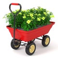 Flowerbed in hand trolley.