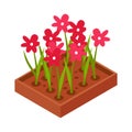 Flowerbed Isometric Icon