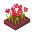 Flowerbed Isometric Icon