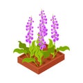 Flowerbed Isometric Icon