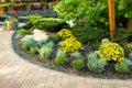 Flowerbed in landscape design