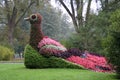 Flowerbed at Mainau island in Lake Constance, Germany.