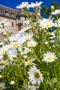 Flowerbed and medieval castle la Roche-Jagu Royalty Free Stock Photo