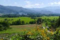 Flowerbed with mountain and paddy view