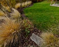 flowerbed with ornamental grasses dry leaves in the autumn sun Royalty Free Stock Photo